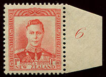 plate 6 right